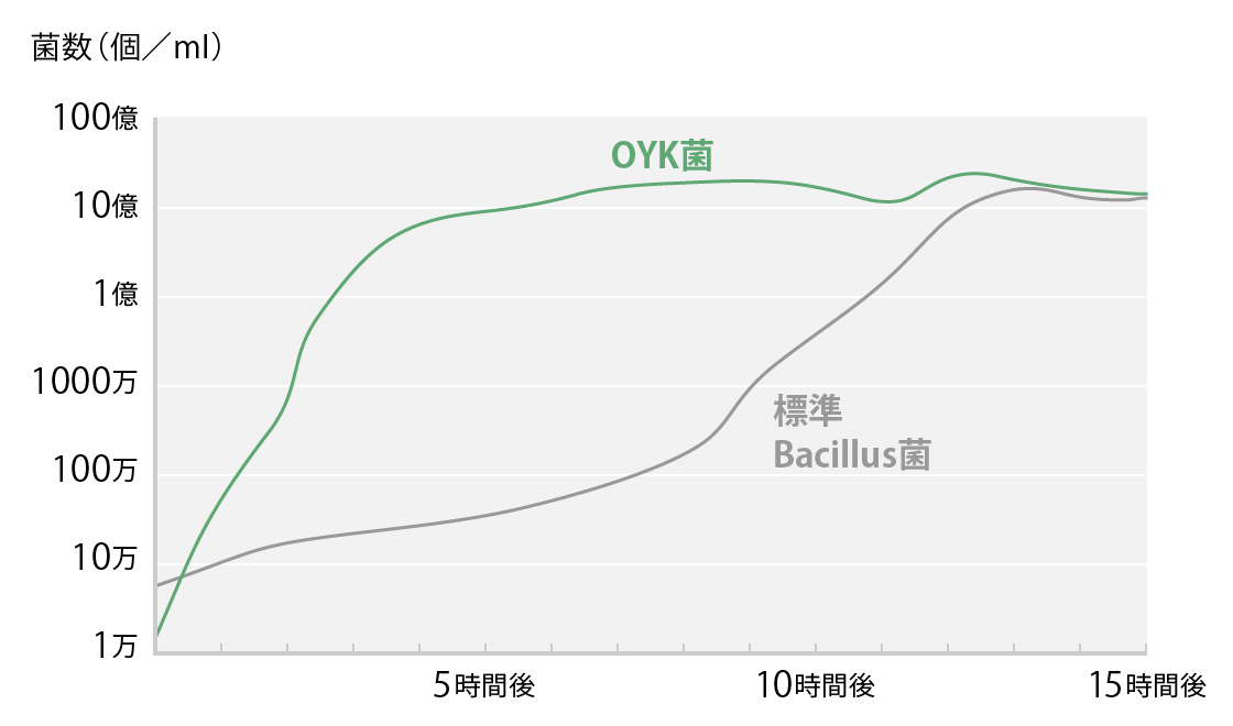 スピカ菌８と標準菌Bacillusとの増殖比較